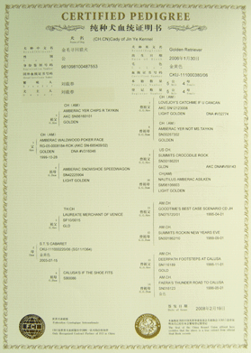retriever)  性别:公  出生日期:2006年1月30日   国外血统证书号码