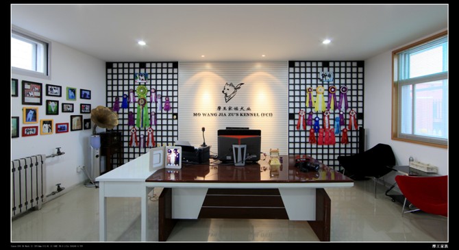 Ħ����������ǽ